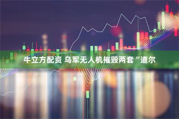 牛立方配资 乌军无人机摧毁两套“道尔