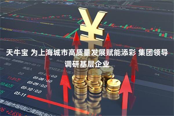 天牛宝 为上海城市高质量发展赋能添彩 集团领导调研基层企业